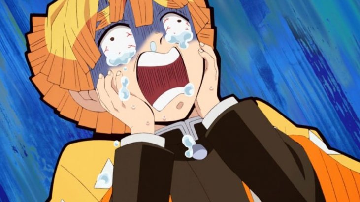 Demon Slayer Episode 27 Vf