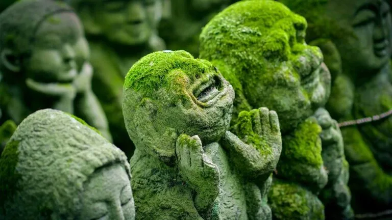 Le Bouddhisme au Japon