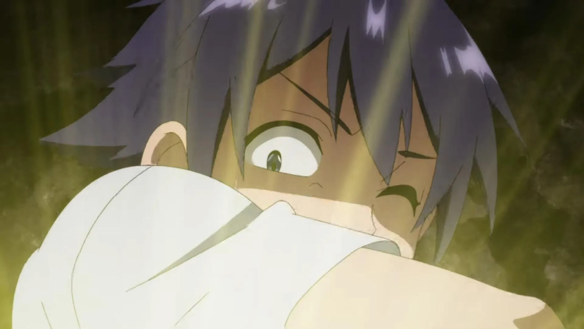 Shinka no Mi Bande annonce