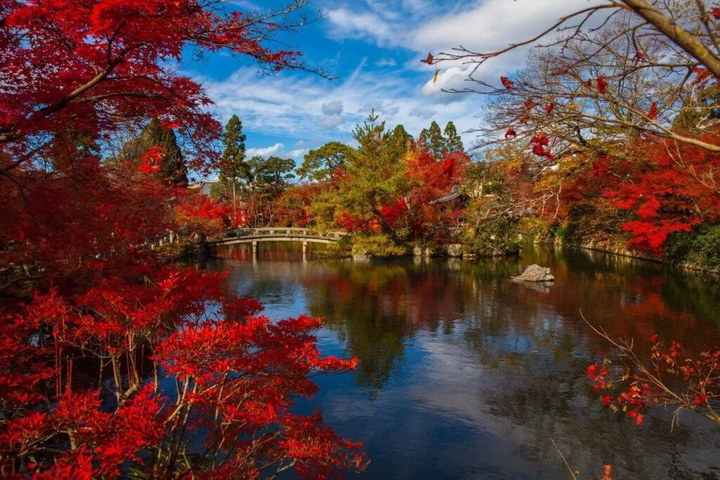 Les couleurs de lAutomne au Japon