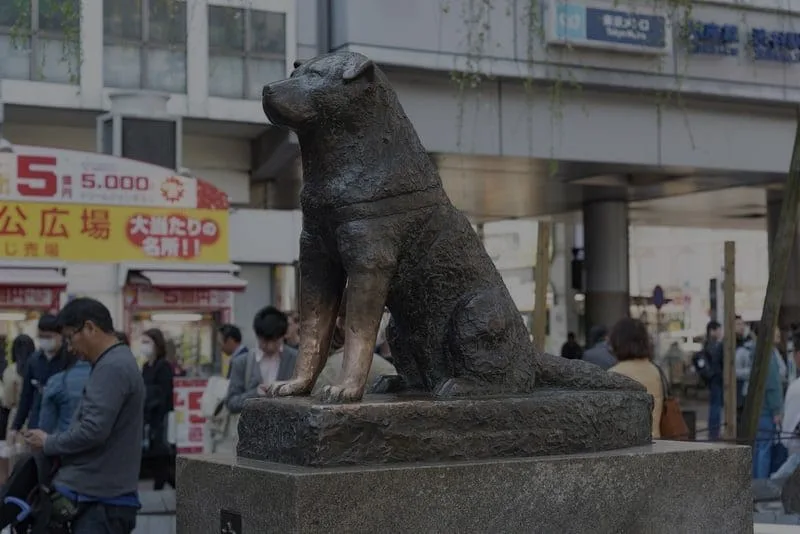Hachiko