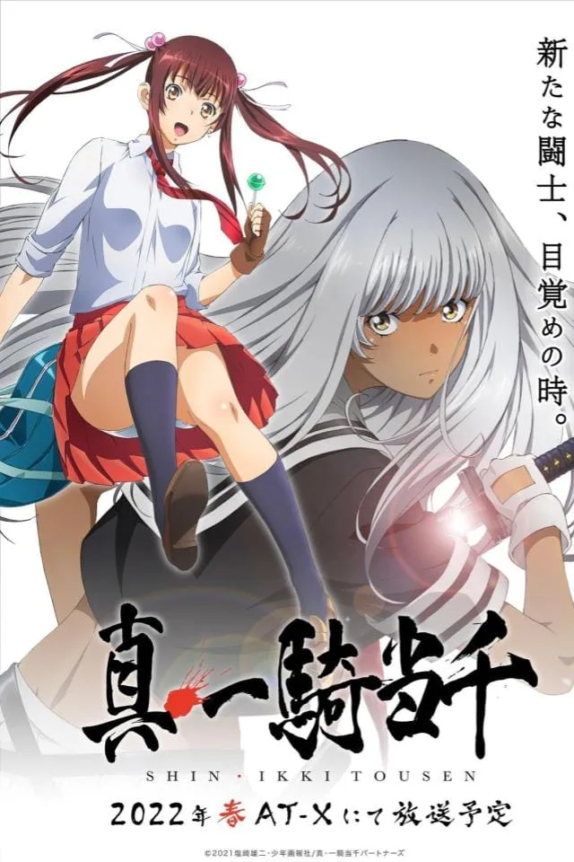 Shin Ikki Tousen Affiche