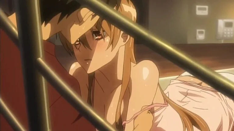 Top 23 des Anime Hentai (selon les spectateurs)