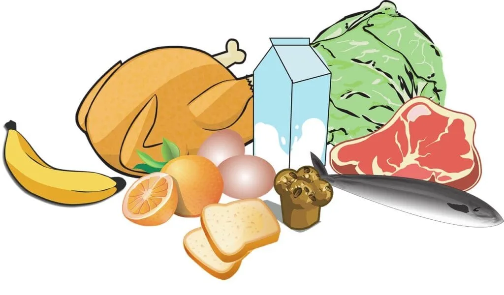 Croquis de plusieurs nourriture : banane, orange, poulet, lait, salade et viande