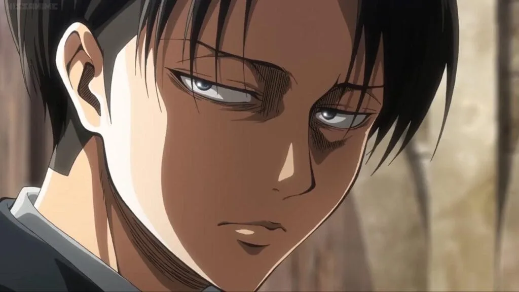 Levi