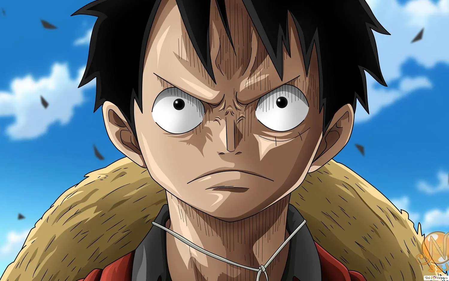 Monkey-d-Luffy