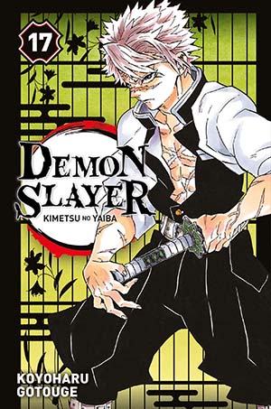 demon-slayer-tome-17
