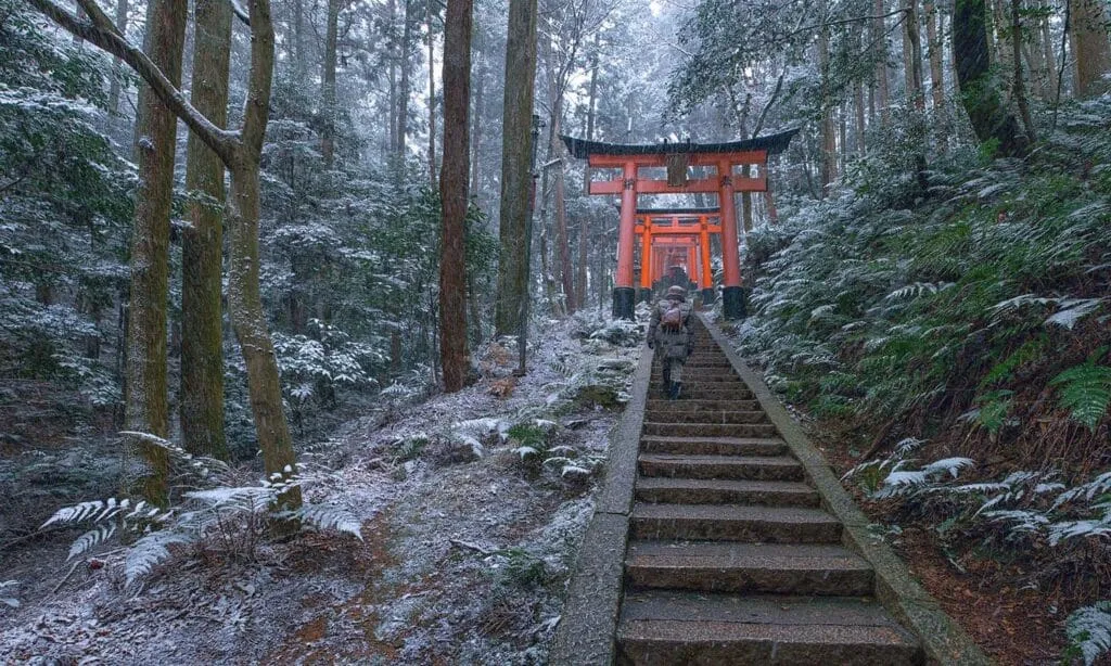Fushimi-Inari-Taisha-2
