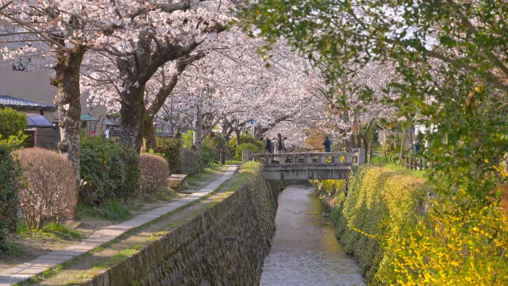 Le chemin de la philosophie à Kyoto