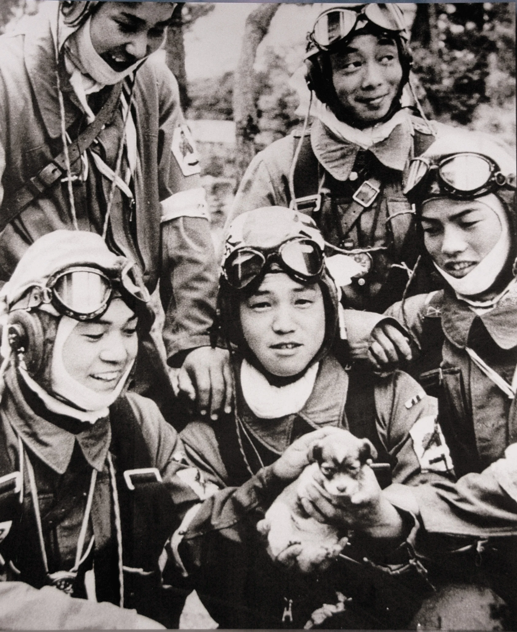 Jeunes pilotes de la 72e escadrille Shinbu posant avec un chiot le 26 mai 1945
