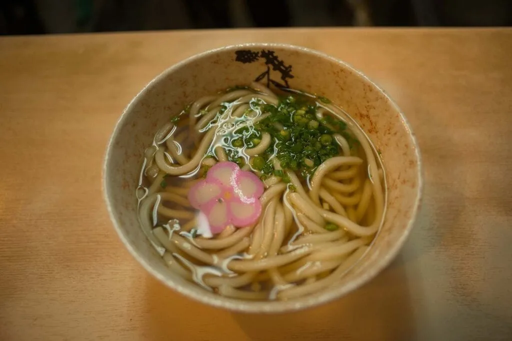 Plat d'Udon