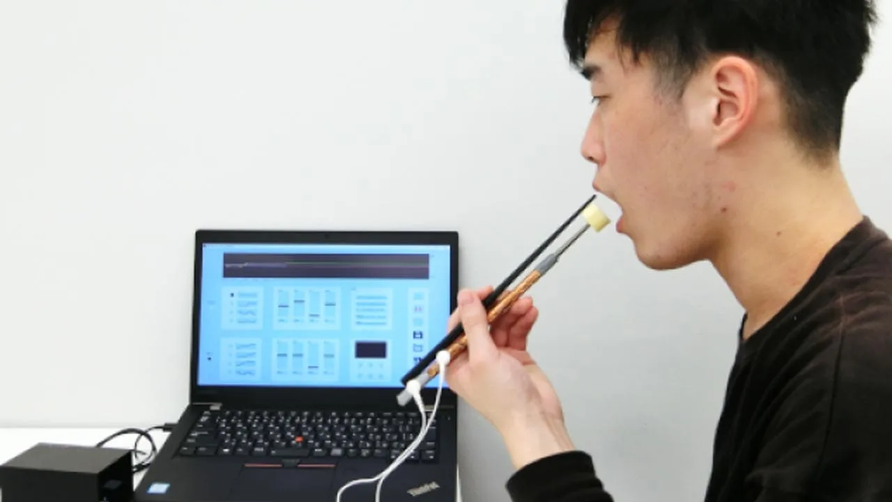 Baguettes-Electriques-Japonaises