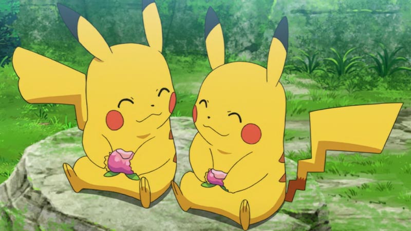 Couple de Pikachu