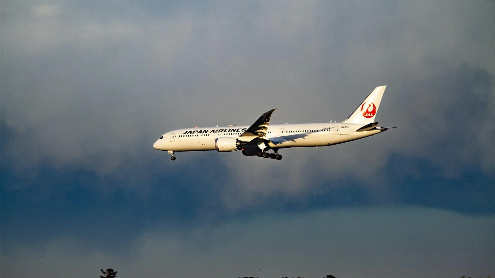 avion-japan-airlines