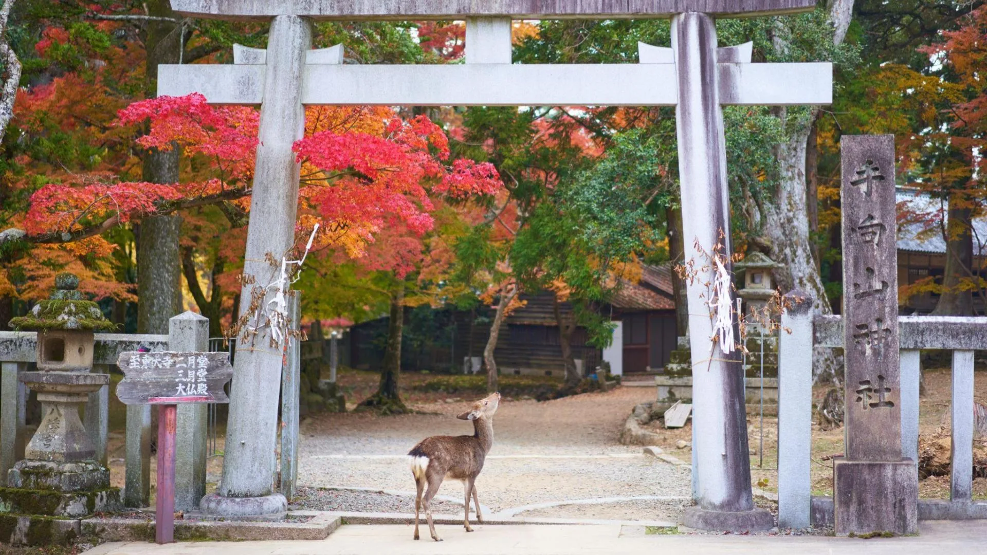 Nara