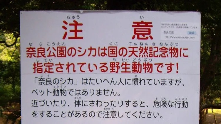 furigana-texte