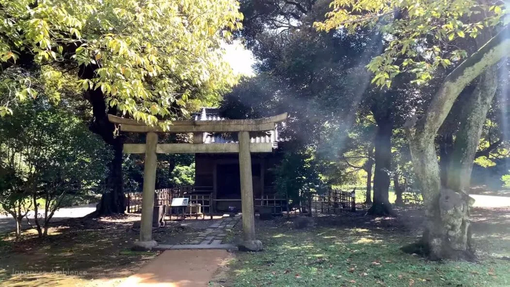 Hama Rikyu