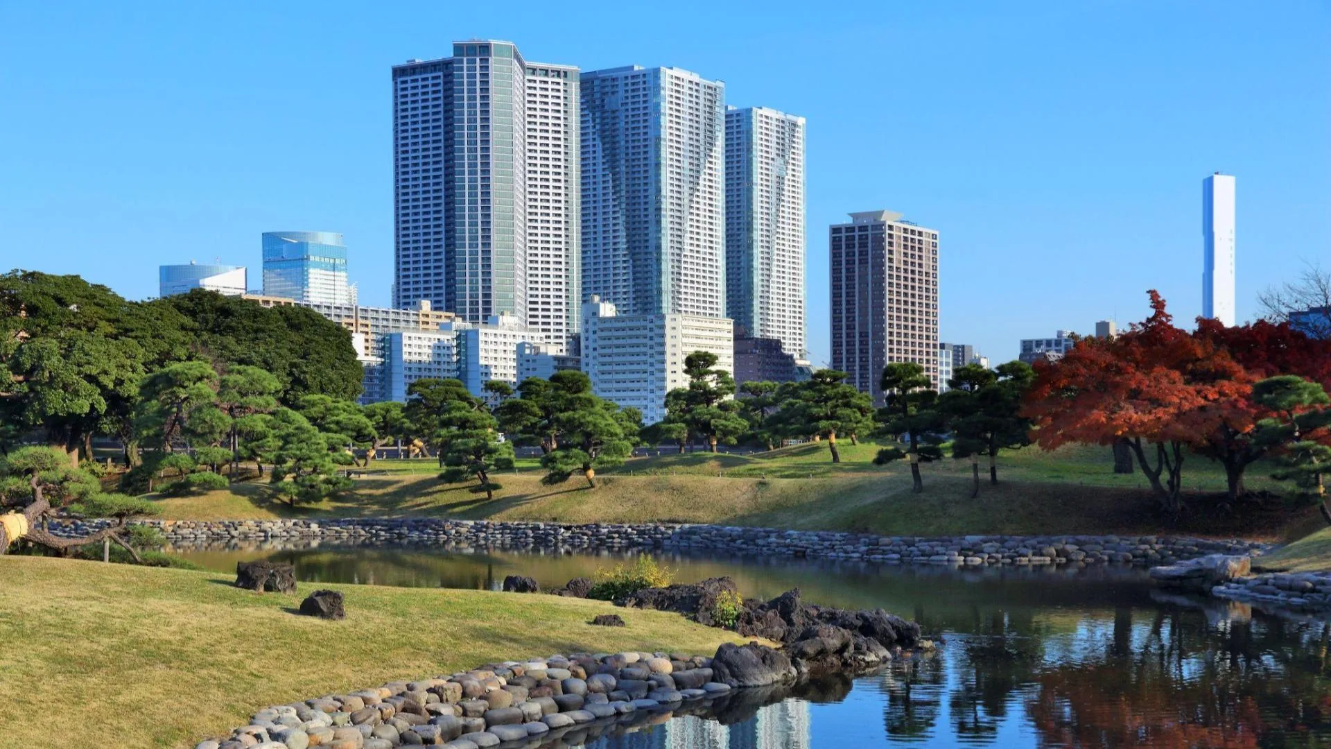 Hama Rikyu