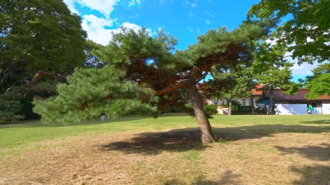 Sanctuaire-Meiji