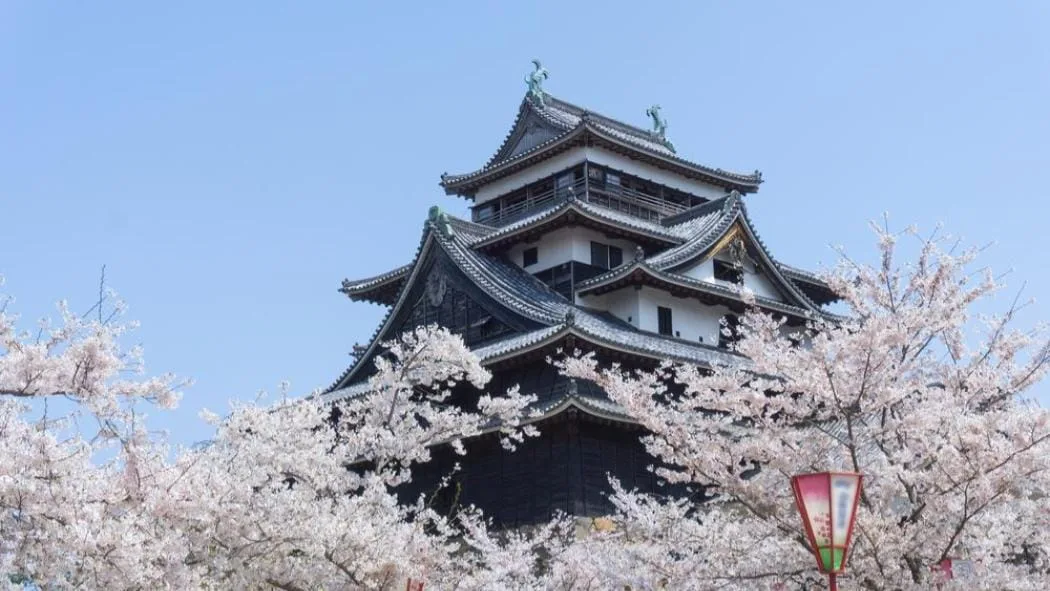 chateau-matsue-1
