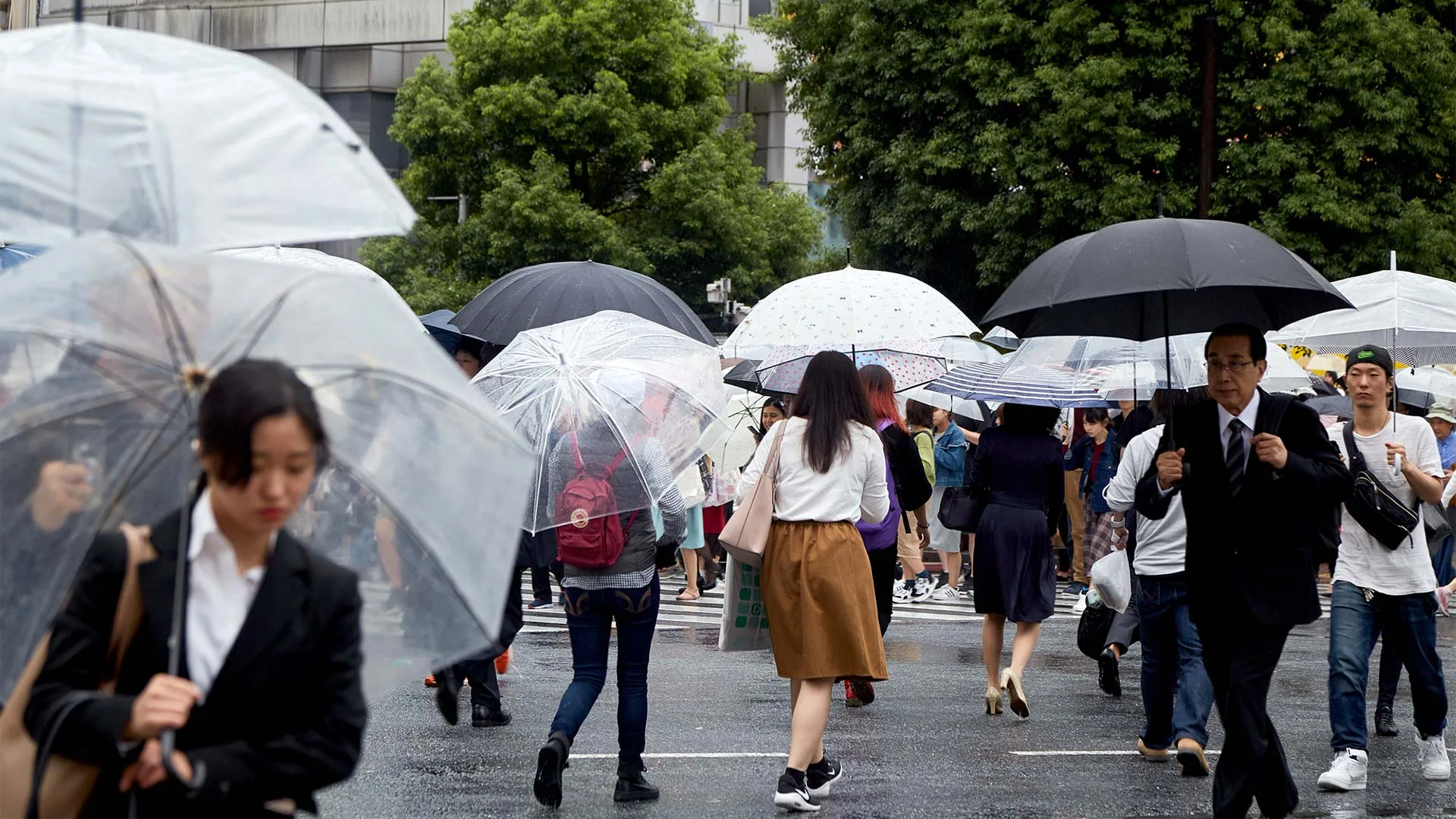 parapluie-japon
