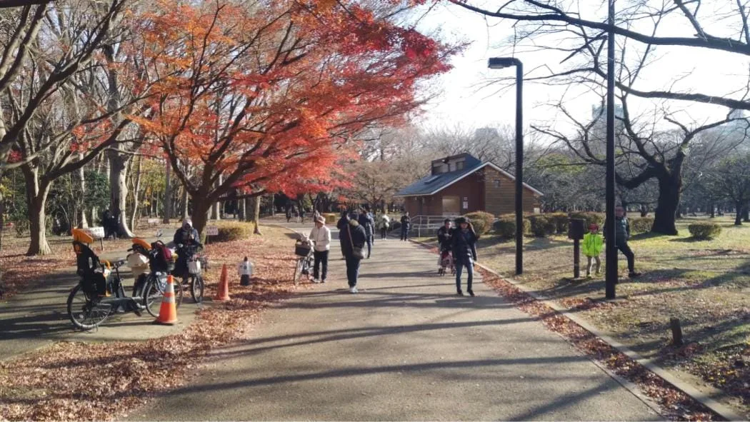 parc-yoyogi