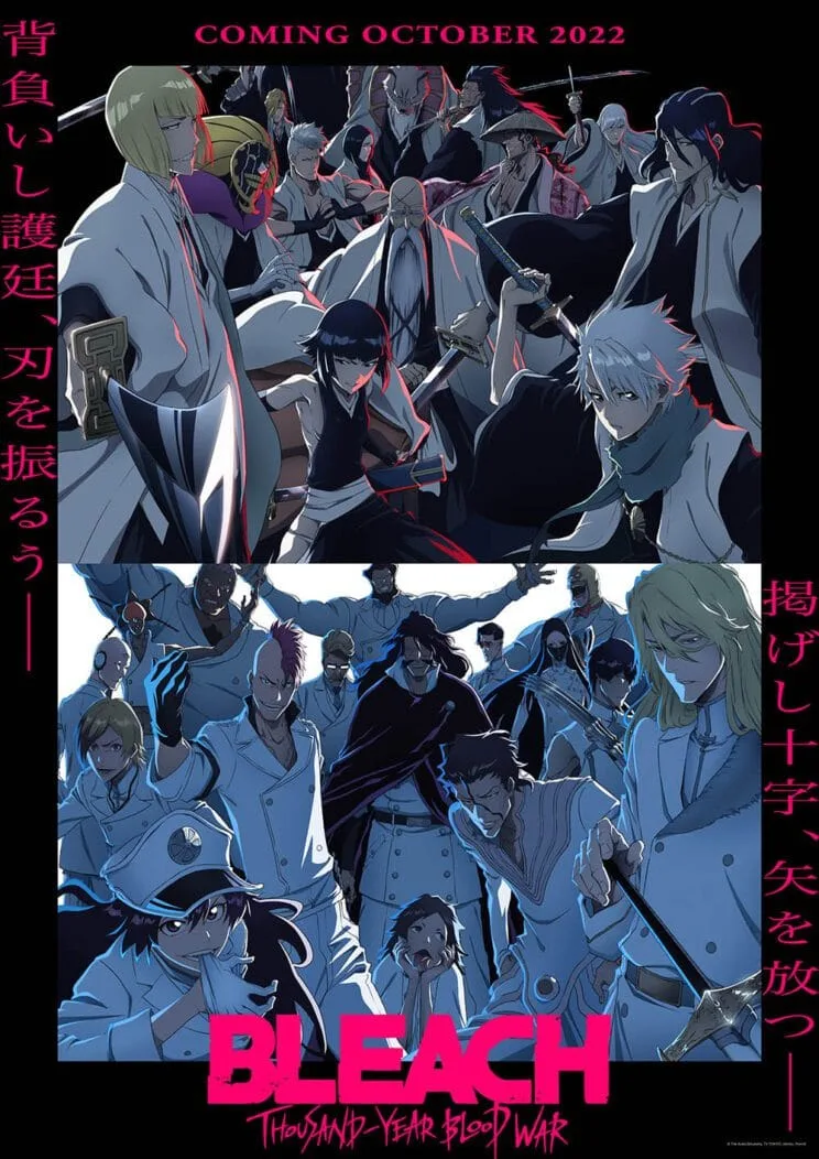 bleach-visuel