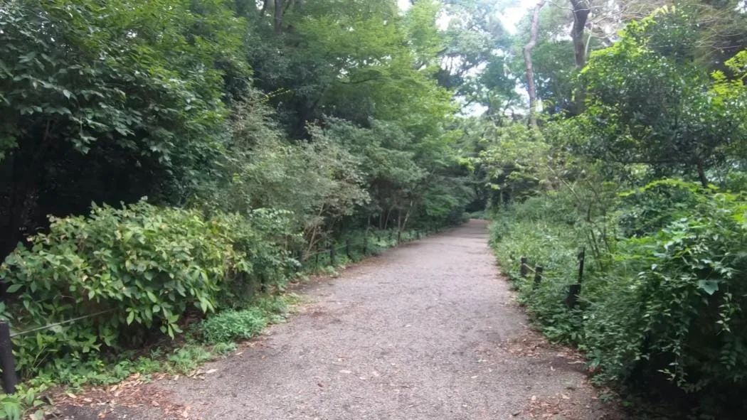 institut-etude-nature-tokyo-1