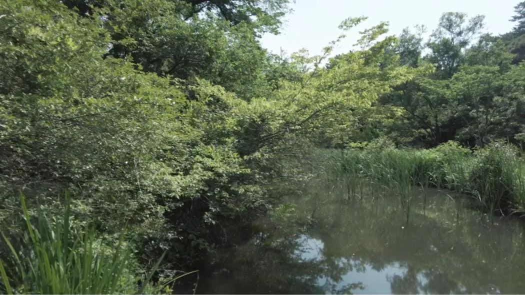 institut-etude-nature-tokyo-2