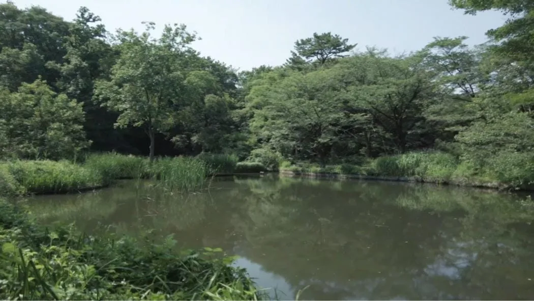 institut-etude-nature-tokyo-3