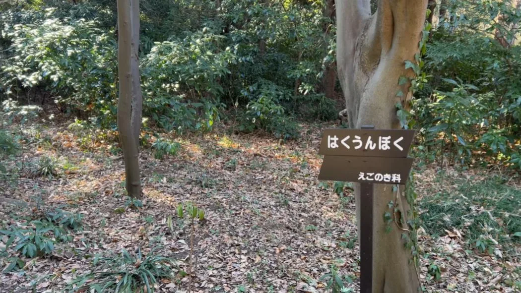 institut-etude-nature-tokyo-4