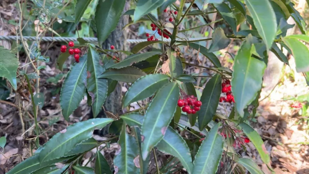 institut-etude-nature-tokyo-6