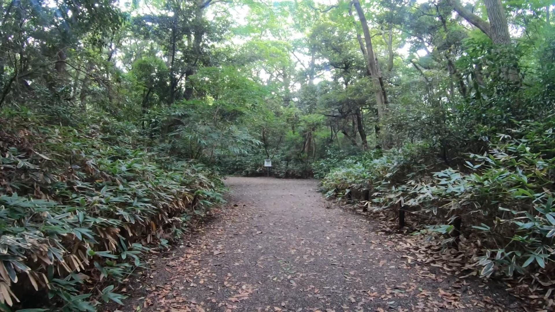 institut-etude-nature-tokyo