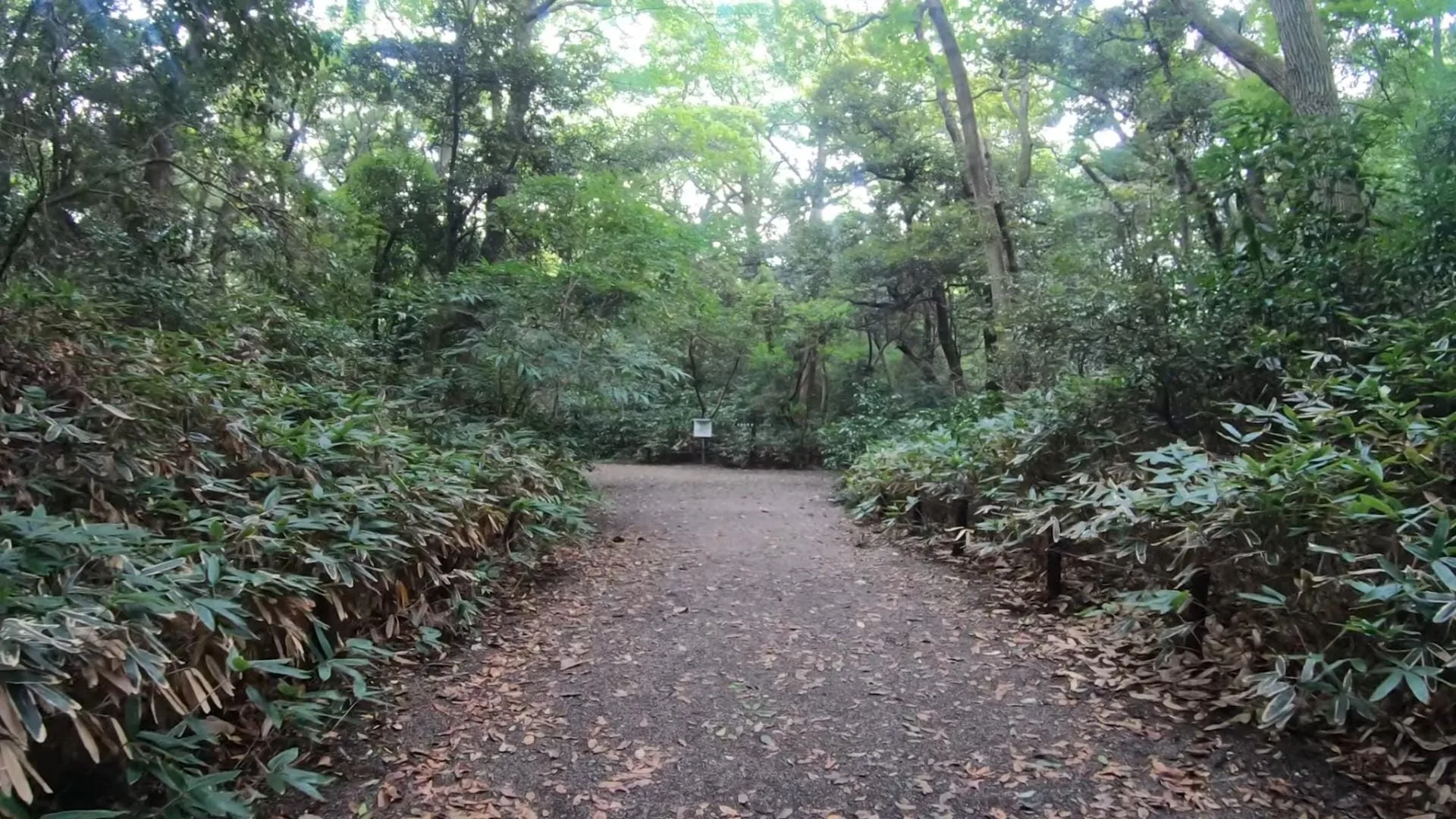 institut-etude-nature-tokyo