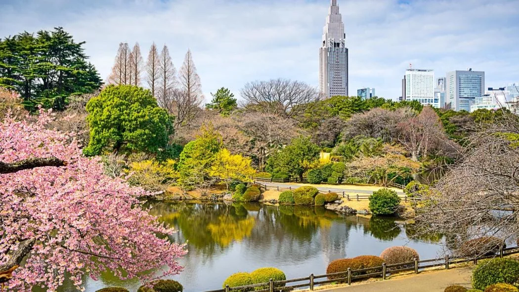 Shinjuku Gyoen