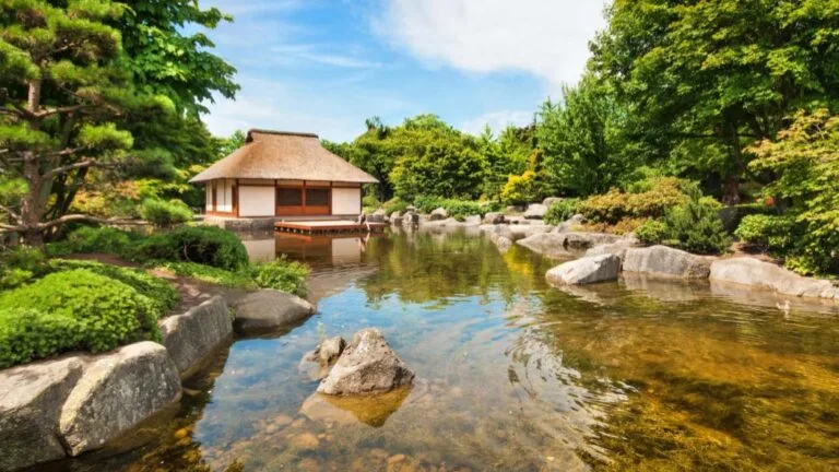 Jardin traditionnel japonais