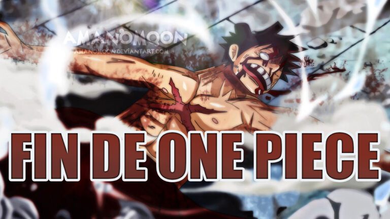 Fin-de-One-Piece