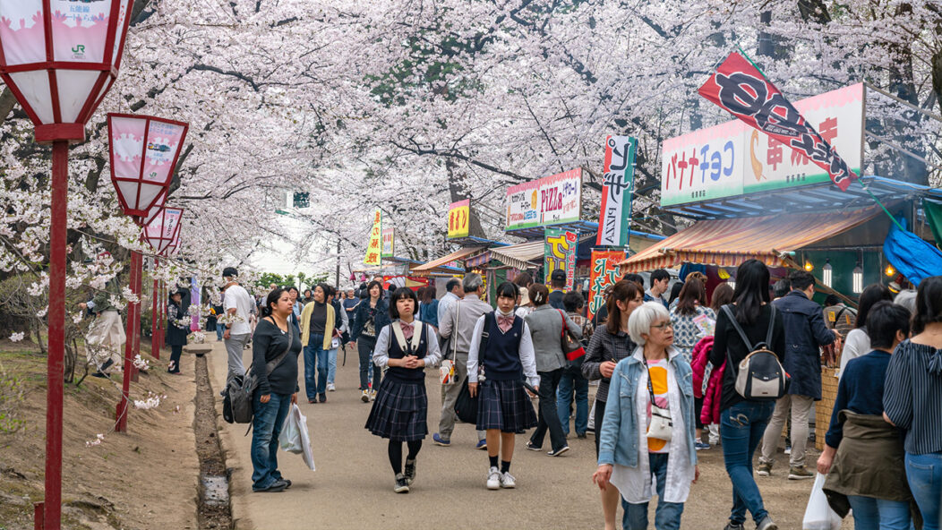 Rue japonaise avec des cerisiers en fleurs