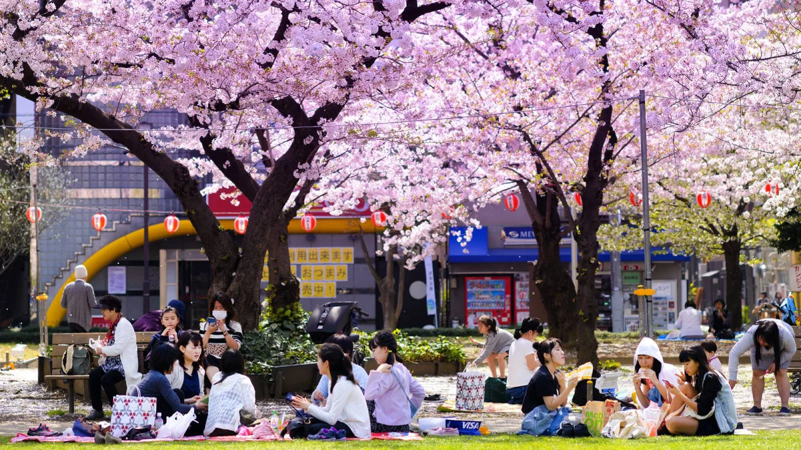 Japonais qui mangent dans un parc en mars