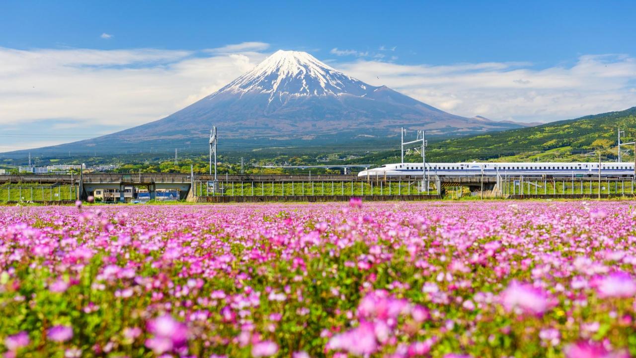 Le Japon en MAI 