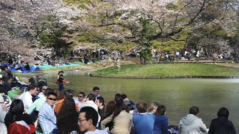 Touristes au Japon en avril