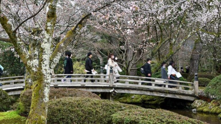 Touristes-Japon