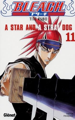 Bleach T.11