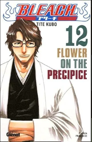 Bleach T.12