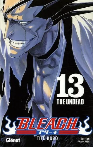 Bleach T.13