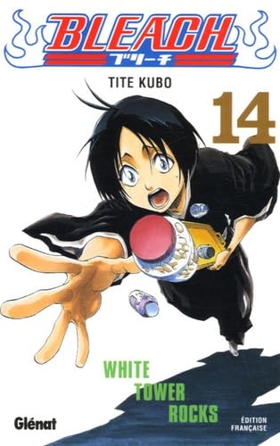 Bleach T.14