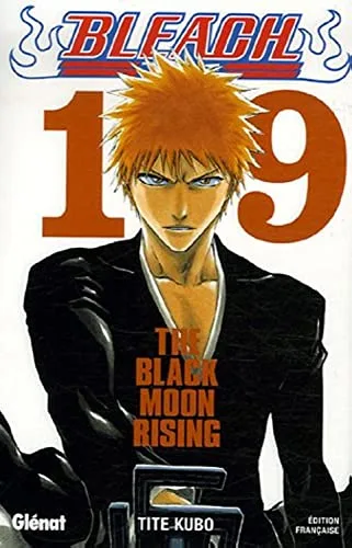 Bleach T.19