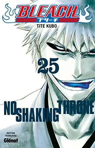Bleach T.25