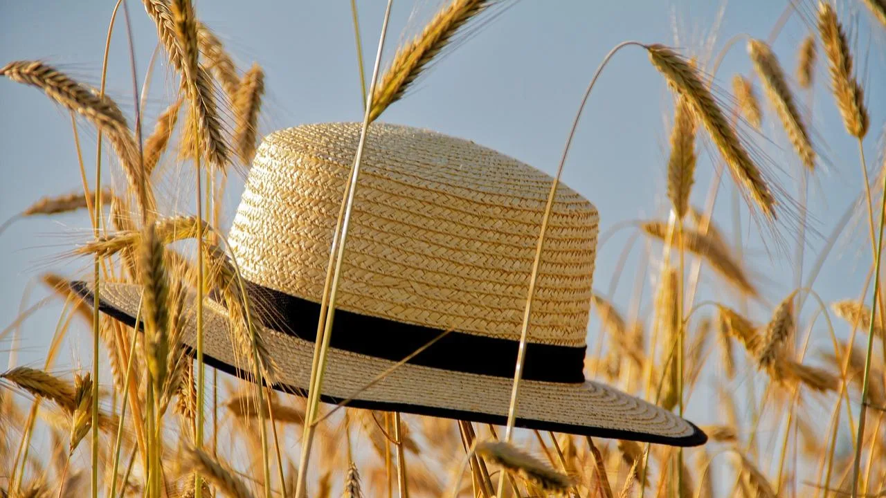 Chapeau de paille