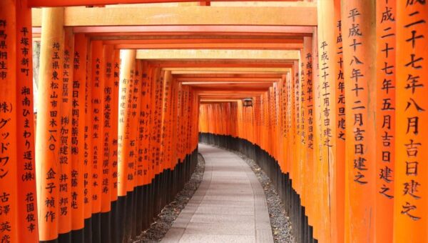 Premier voyage au Japon : le guide complet pour bien partir
